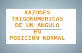 Razones Trigonometricas de un angulo en posicion normal(Luis Redolfo)