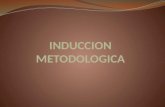 Induccion metodologica