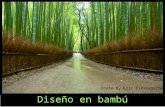 Diseño en bambú