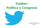 Twitter: Politica y Congreso