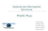 Sistema de información gerencial profit