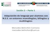 Adquisición de lenguaje por alumnos con N.E.E. en entornos monolingües, bilingües y multilingües