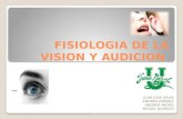 fisiología de la visión y audicion