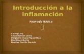 Inflamacion- Patologia Basica