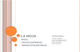 La hoja(present.)