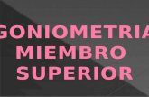 Goniometria miembro superior e inferior (2)