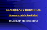 Clase de hormonas de fertilidad