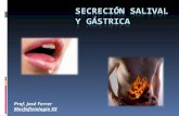 Secreción salival y gástrica