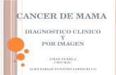 Cancer de mama imagenología