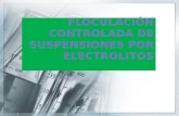 Floculación controlada de suspensiones por electrolitos