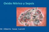 oxido nitrico y  sepsis
