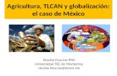 Agricultura, TLCAN y globalización: el caso de México