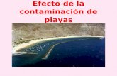 Efecto de la Contaminacion de playas