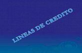 Lineas De Credito Recursos Propios