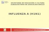 Influenza A H1N1 2009   Sonora, MéXico
