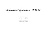 Software informático spss 20