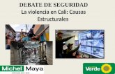 Debate seguridad Violencia n Cali y sus causas estructurales 20 10-14