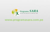 Presentación web sara