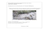 Bioperturbación del suelo por pequeños roedores excavadores del género Ctenomys, tuco tucos, en una estepa arbustiva del noreste Patagónico