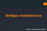 Bridges inalámbricos
