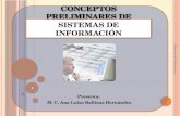 Conceptos básicos de los Sistemas de Información