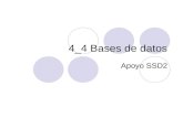 4 4 Bases De Datos