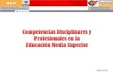 Competencias disciplinares  y profesionales en la ems