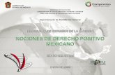 Nociones de Derecho Positivo Mexicano