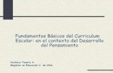 Presentacion bases curriculares_ccn