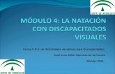 Módulo 4. discapacidad visual