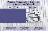 Vision monocular, desarrollo de la Agudeza Visual y Fijación
