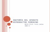 AnatomíA Del Aparato Reproductor Femenino