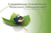 Competencias avanzadas en relaciones internacionales