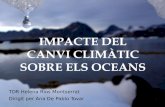 Impacte del canvi climàtic sobre els oceans