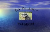 Tristan 4 estacions