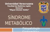 Síndrome metabólico (diabetes mellitus, HAS, dislipidemias, obesidad)