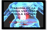 Trauma de la columna vertebral y medula espinal