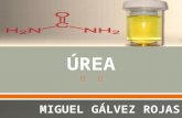 Urea, creatinina y acido úrico - Micky Gálvez