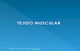 Muscular blog