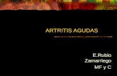 Artritis Microcristalinas