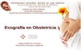 EcografíA  En Obstetricia Hgc