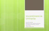 Incontinencia urinaria