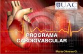 Programa cardiovascular