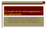 El mundo de los microorganismos y sus aplicaciones