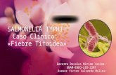 Salmonella Typhi (Caso clínico de fiebre tifoidea)
