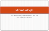Microbiologia 3