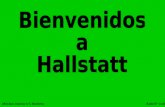 80721 Ramon Hallstatt