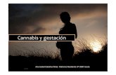 Cannabis y gestación