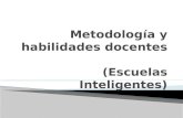 Metodologia y habilidades docentes.