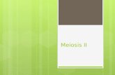 Meiosis ii (biologia)
